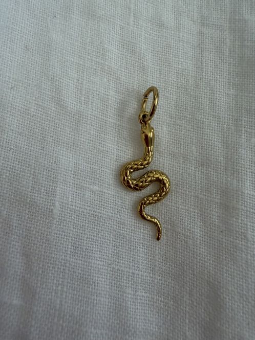 Hovedbilde Charm - Slange