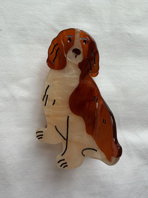 Hovedbilde Hund #4