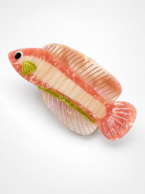 Hovedbilde Gullfisk - Korall